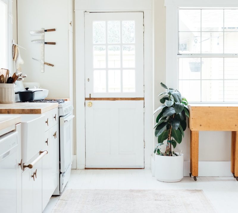 green potted leaf plant beside white wooden door